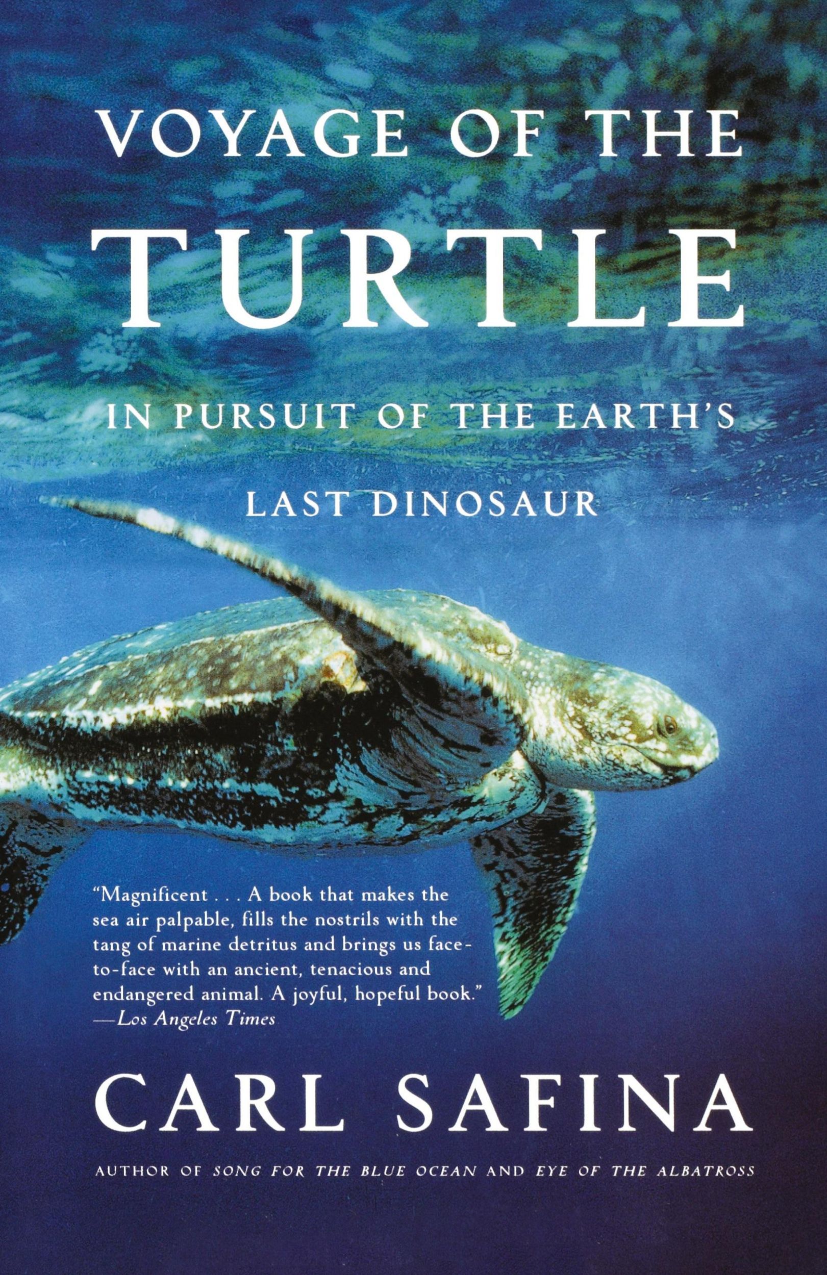 Cover: 9780805083187 | Voyage of the Turtle | In Pursuit of the Earth's Last Dinosaur | Buch