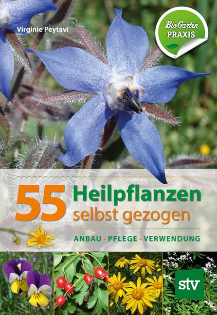 Cover: 9783702017408 | 55 Heilpflanzen selbst gezogen | Virginie Peytavi | Buch | 208 S.