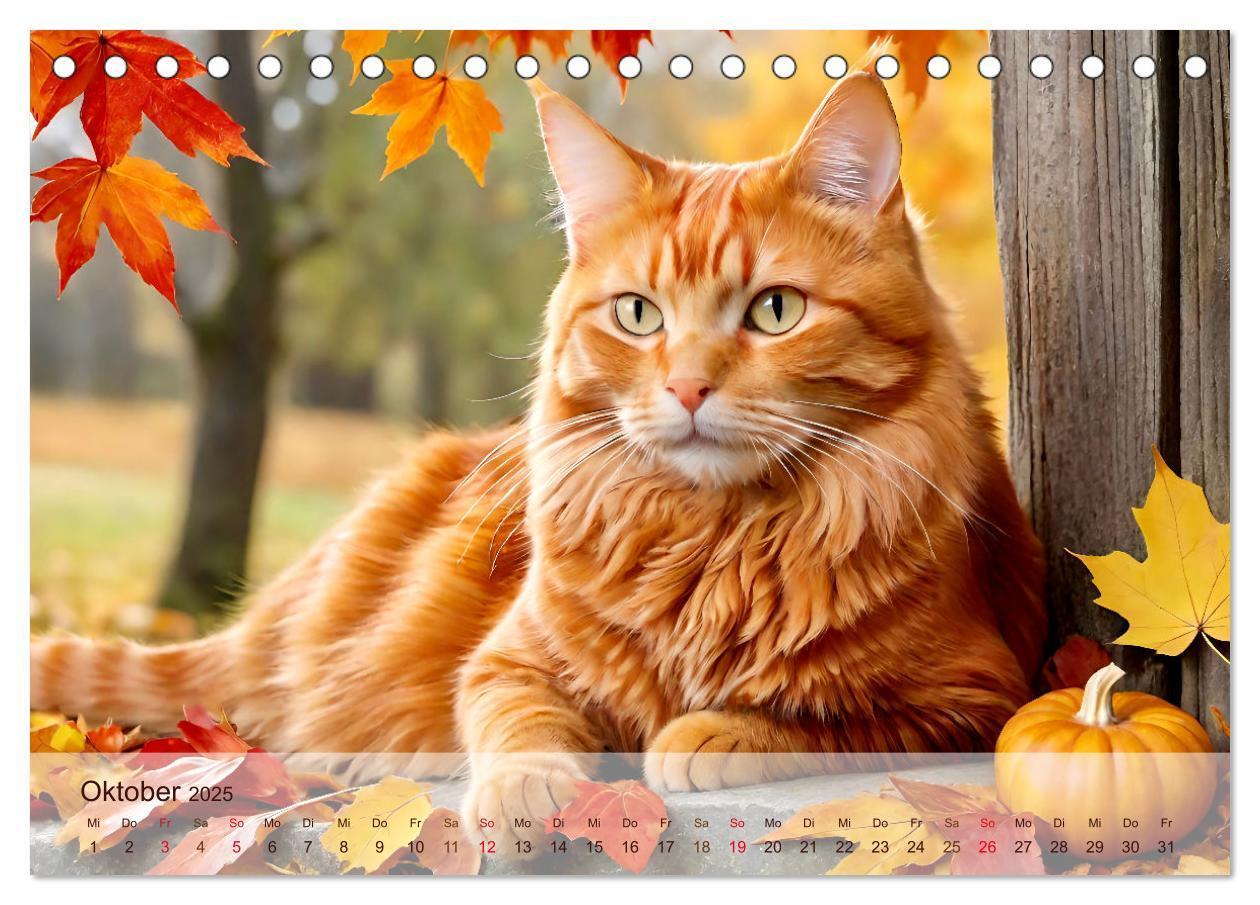 Bild: 9783383817885 | Rote Katzen (Tischkalender 2025 DIN A5 quer), CALVENDO Monatskalender