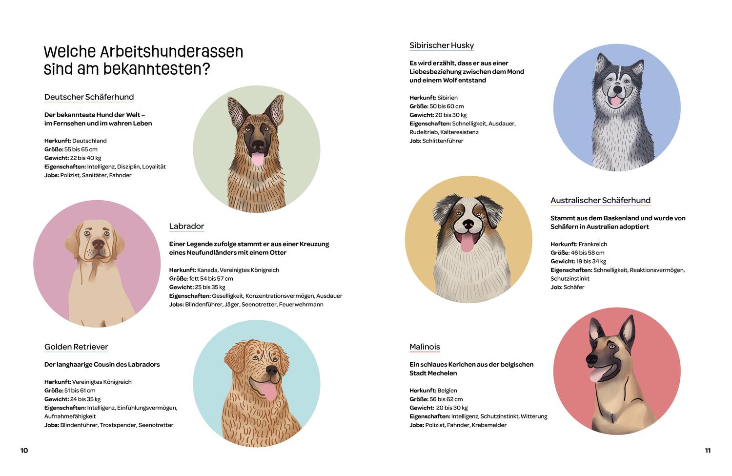Bild: 9783907293737 | Hunde am Werk | Vierbeiner und ihre Berufe | Valeria Aloise | Buch
