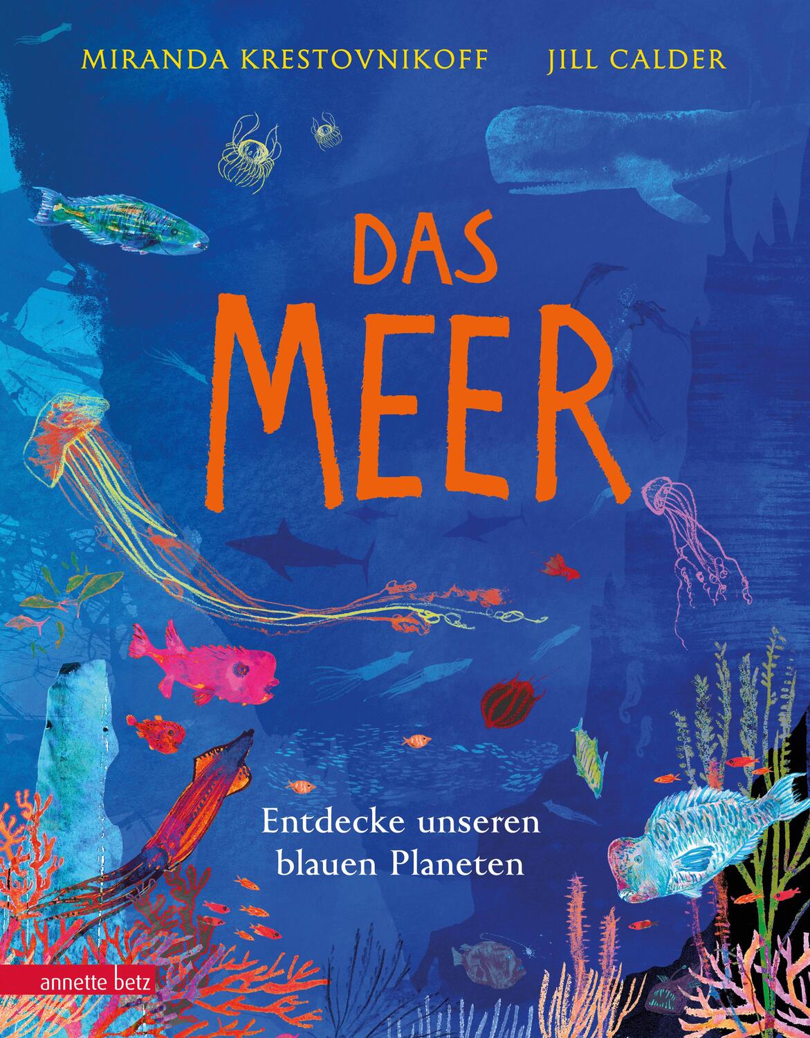 Cover: 9783219119312 | Das Meer - Wichtige Themen: Artenvielfalt und Naturschutz in einem...