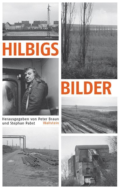 Cover: 9783835313286 | Hilbigs Bilder | Essays und Aufsätze | Peter Braun (u. a.) | Buch