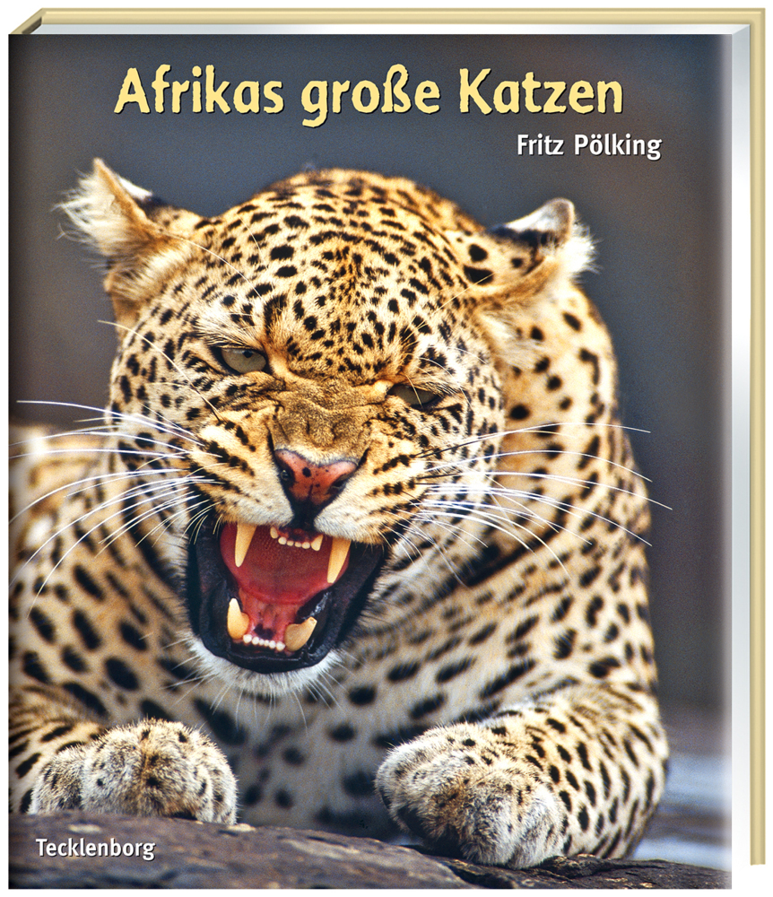 Cover: 9783939172321 | Afrikas grosse Katzen | Gepard, Löwe, Leopard | Fritz Pölking | Buch