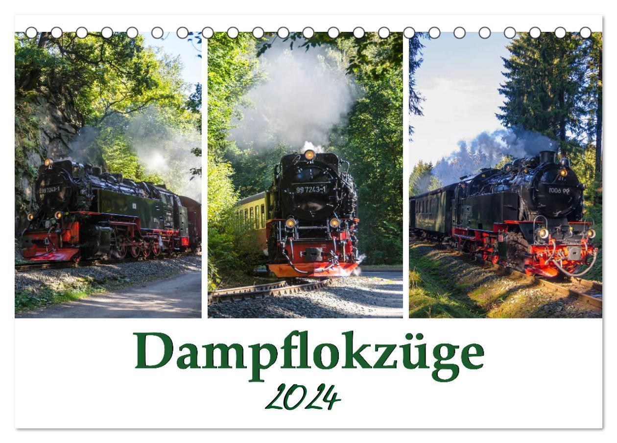 Cover: 9783675449886 | Schmalspurbahnen im Harz (Tischkalender 2024 DIN A5 quer), CALVENDO...