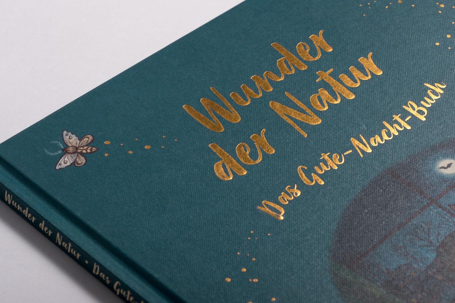 Bild: 9783791375250 | Wunder der Natur. Das Gute-Nacht-Buch | Rachel Williams | Buch | 32 S.