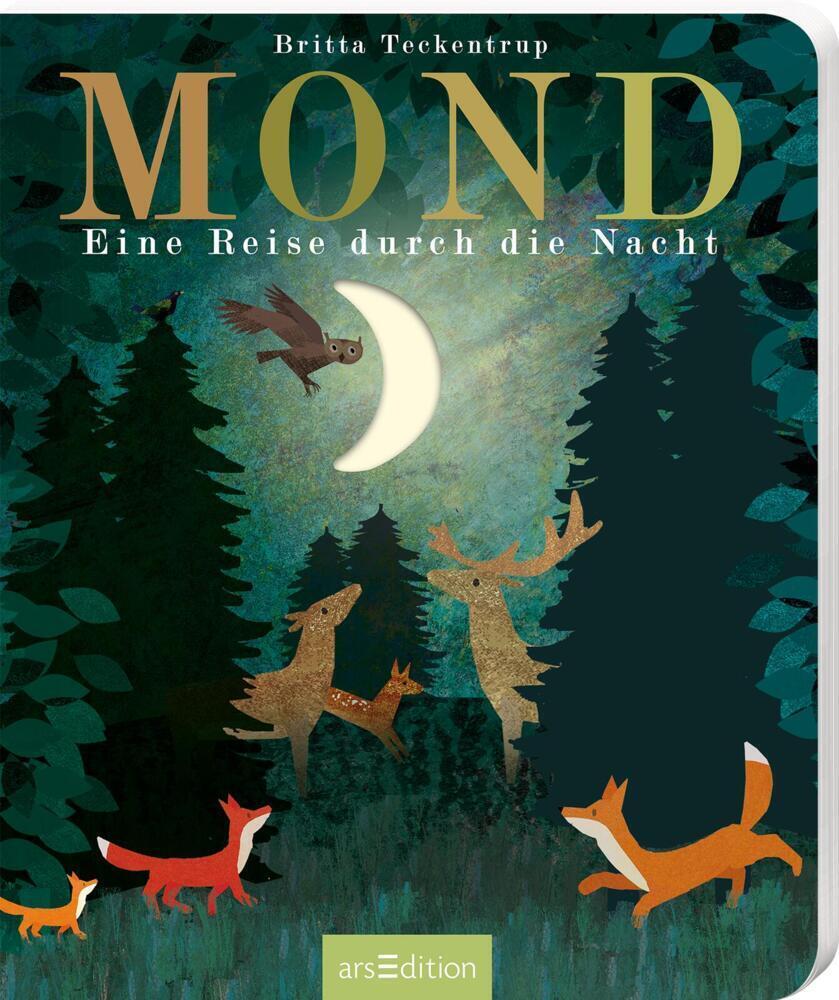 Cover: 9783845846736 | Mond | Eine Reise durch die Nacht | Maria Höck | Buch | 24 S. | 2022