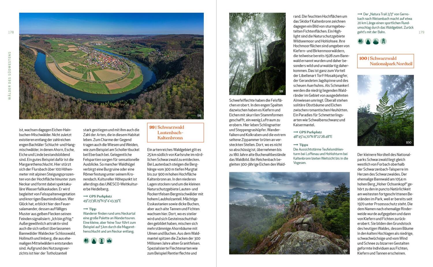 Bild: 9783942048958 | Wild Guide Deutsche Wälder | Björn Nehrhoff von Holderberg | Buch
