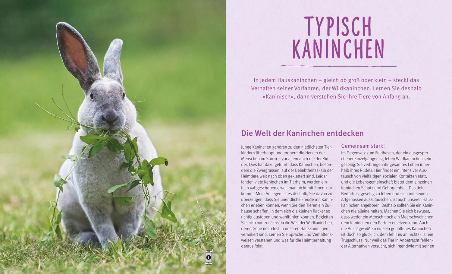 Bild: 9783833836404 | Kaninchen im Außengehege | Pures Frischluft-Vergnügen | Monika Wegler