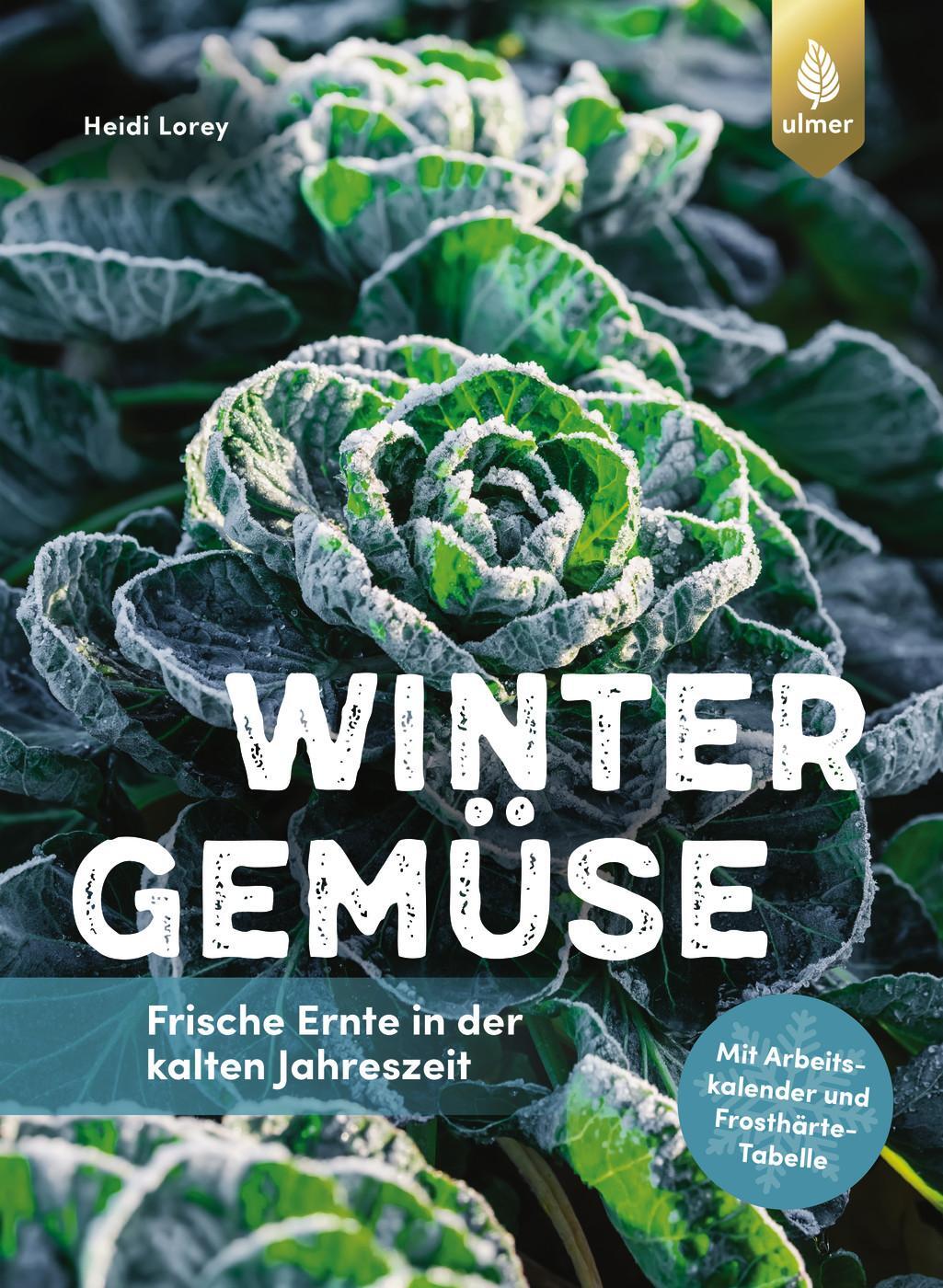 Cover: 9783818622572 | Wintergemüse | Heidi Lorey | Taschenbuch | 144 S. | Deutsch | 2024