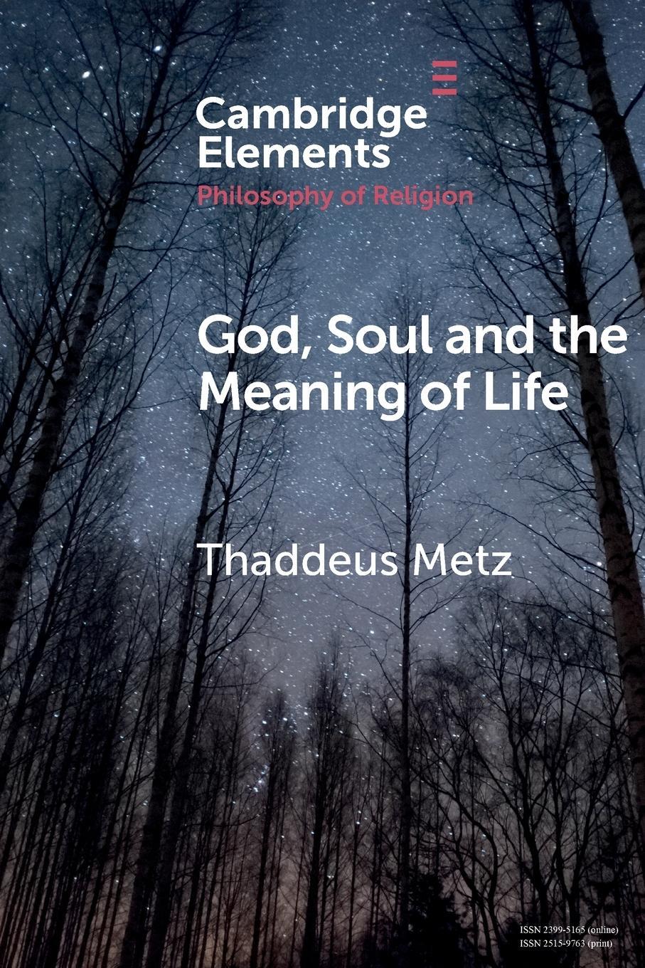Cover: 9781108457453 | God, Soul and the Meaning of Life | Thaddeus Metz | Taschenbuch | 2019