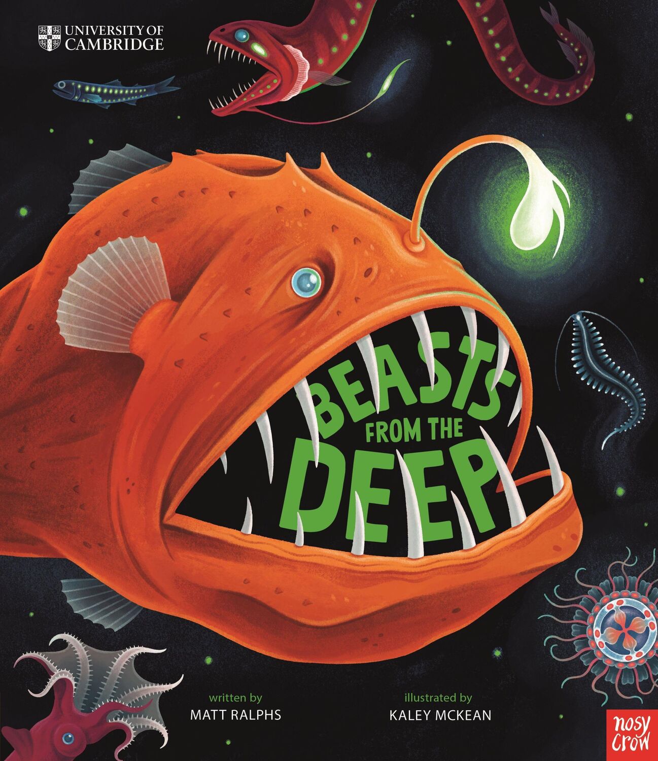 Cover: 9781839943348 | University of Cambridge: Beasts From the Deep | Matt Ralphs (u. a.)