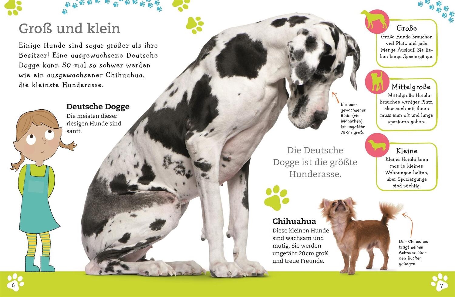 Bild: 9783831035694 | Alles über deinen Hund | Andrea Mills | Buch | 64 S. | Deutsch | 2018