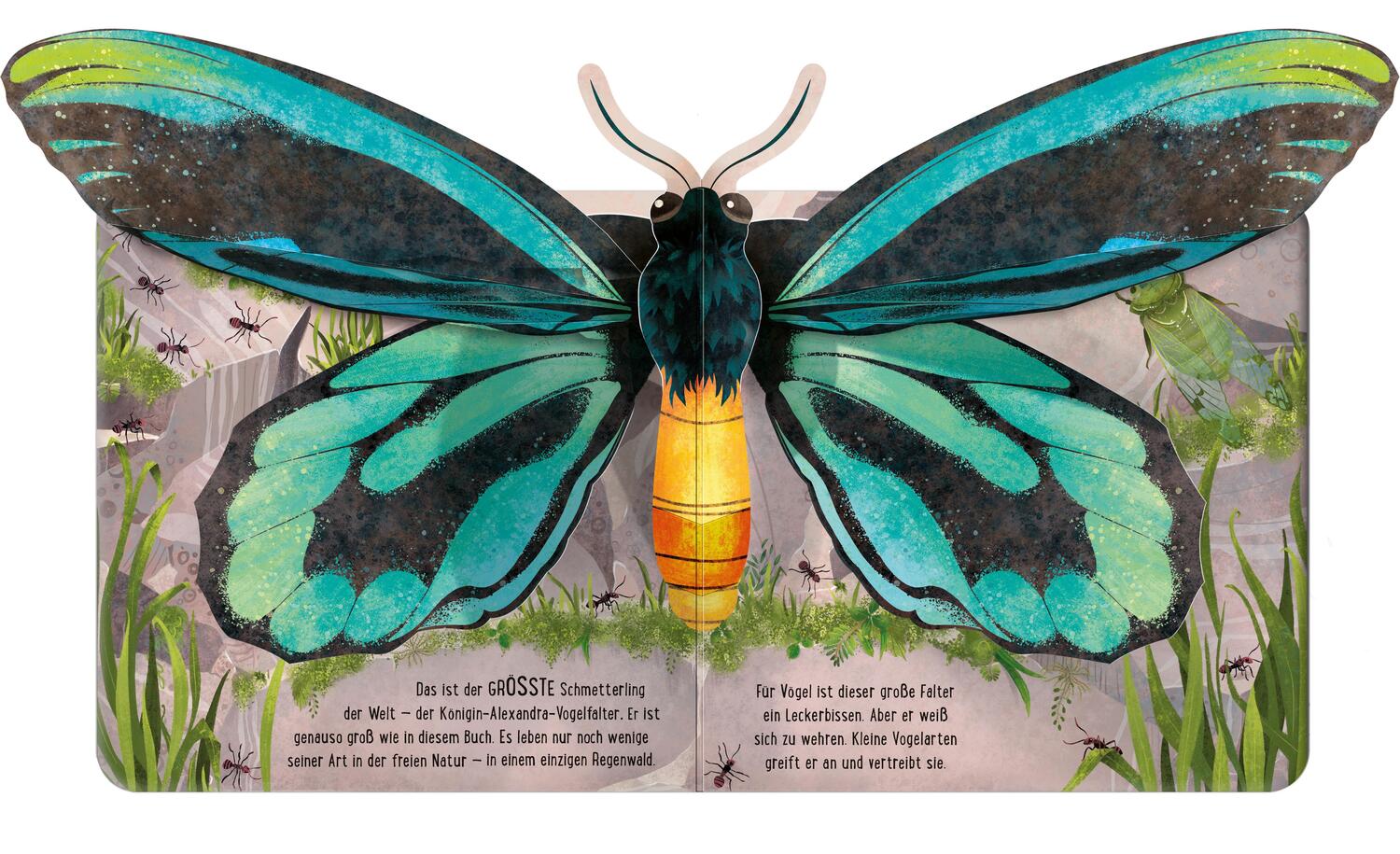 Bild: 9781789418057 | Mein erstes Pop-up-Buch: Schmetterlinge | Laura Cowan | Buch | Deutsch