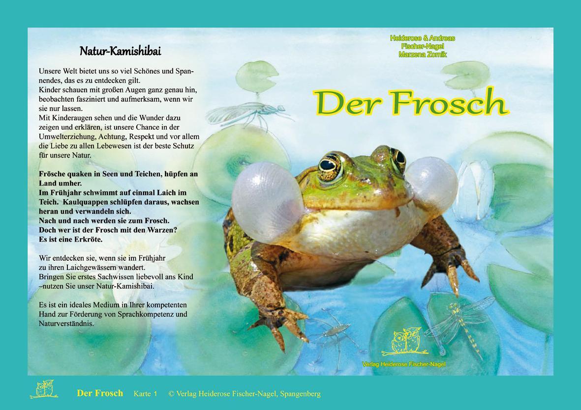 Cover: 9783930038701 | Natur-Kamishibai - Der Frosch | Heiderose Fischer-Nagel (u. a.) | Buch