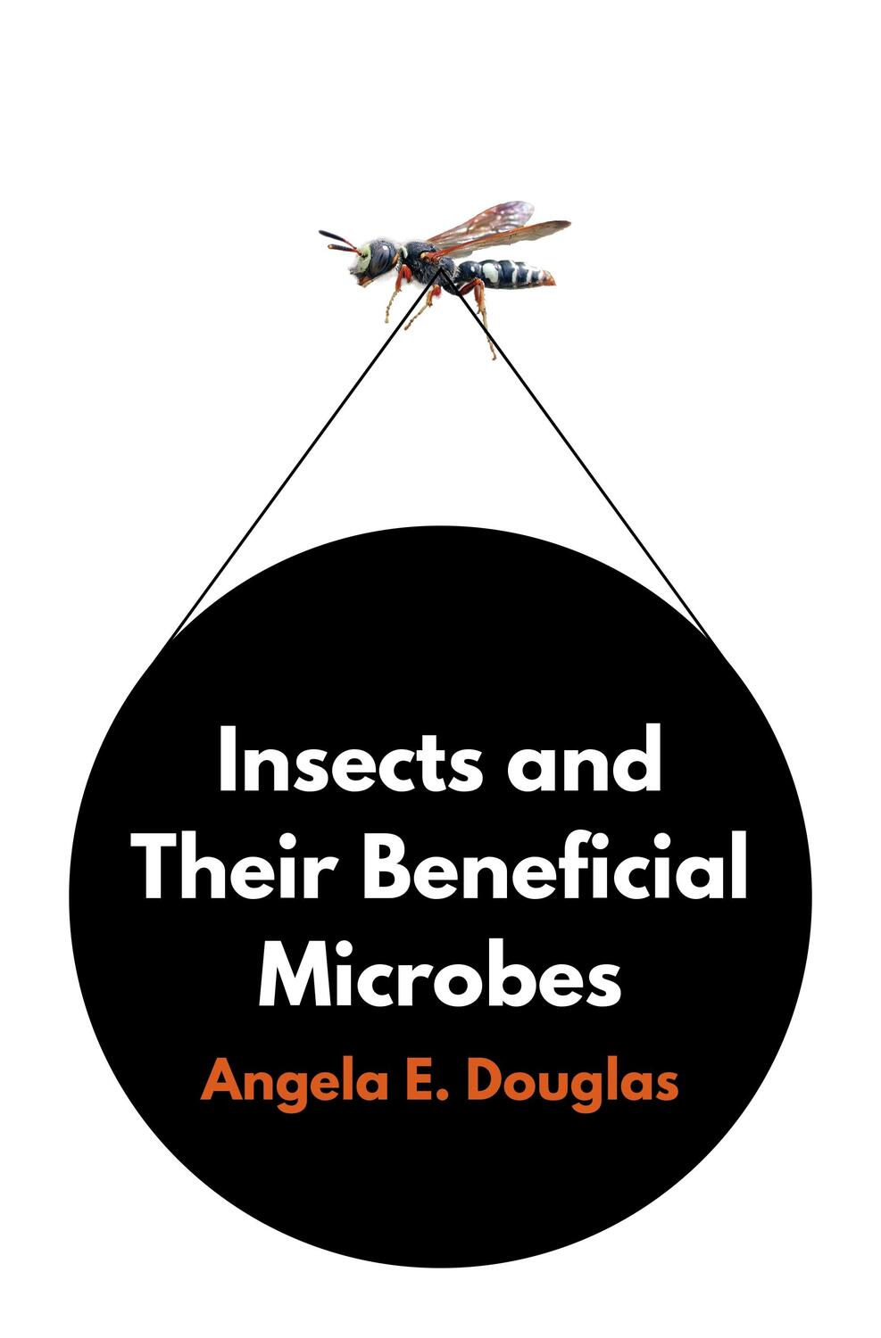 Cover: 9780691192406 | Insects and Their Beneficial Microbes | Angela E. Douglas | Buch