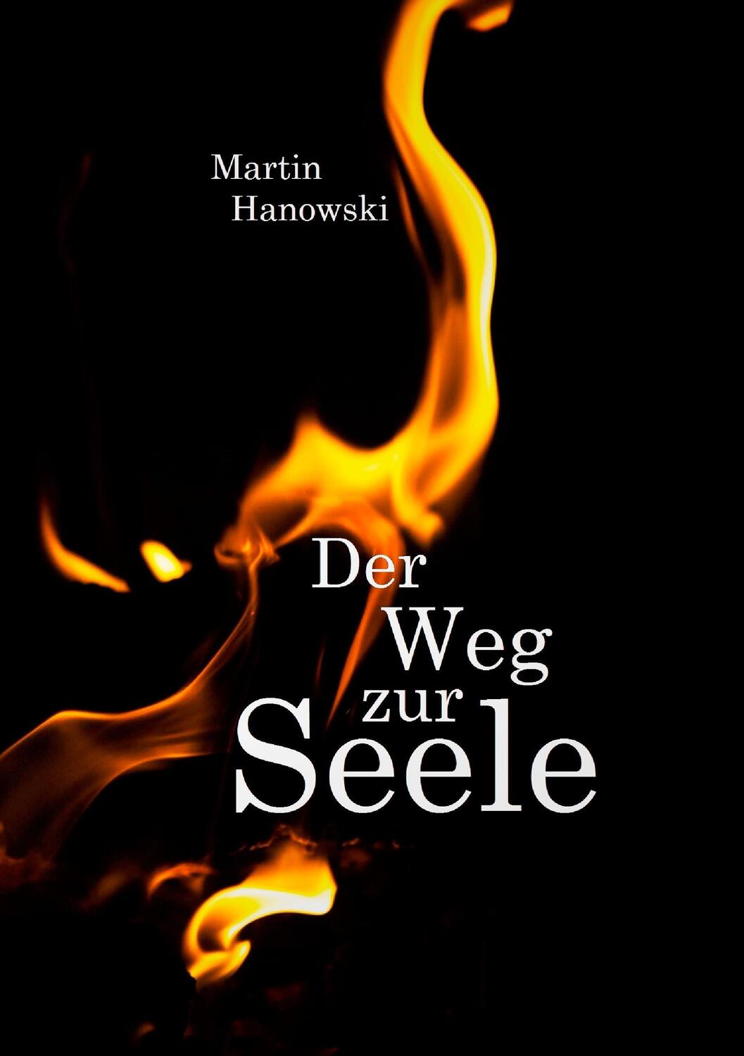 Cover: 9783743102088 | Der Weg zur Seele | Martin Hanowski | Taschenbuch | Paperback | 2016