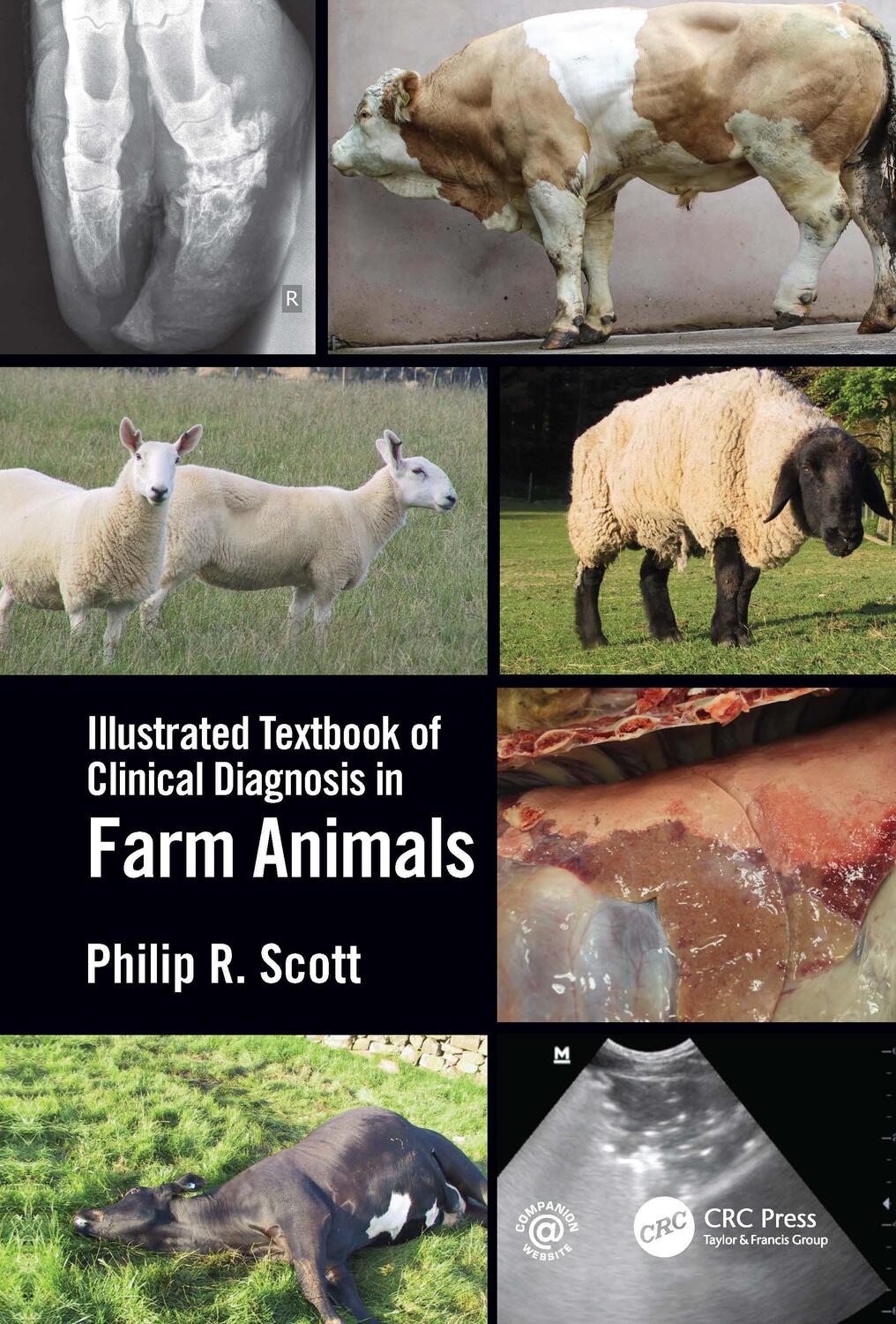 Cover: 9780367612702 | Illustrated Textbook of Clinical Diagnosis in Farm Animals | Scott