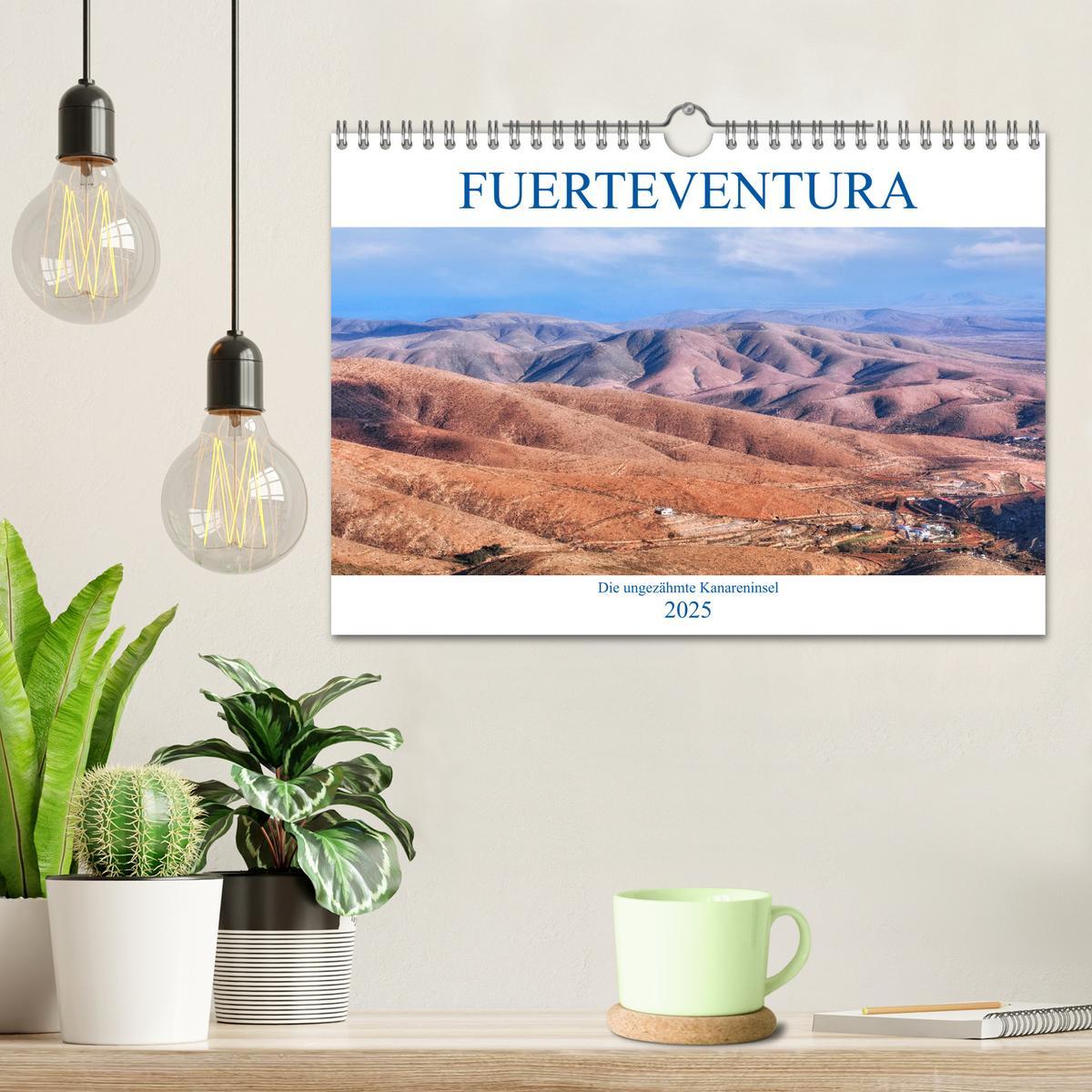 Bild: 9783435383641 | Fuerteventura, die ungezähmte Kanareninsel (Wandkalender 2025 DIN...