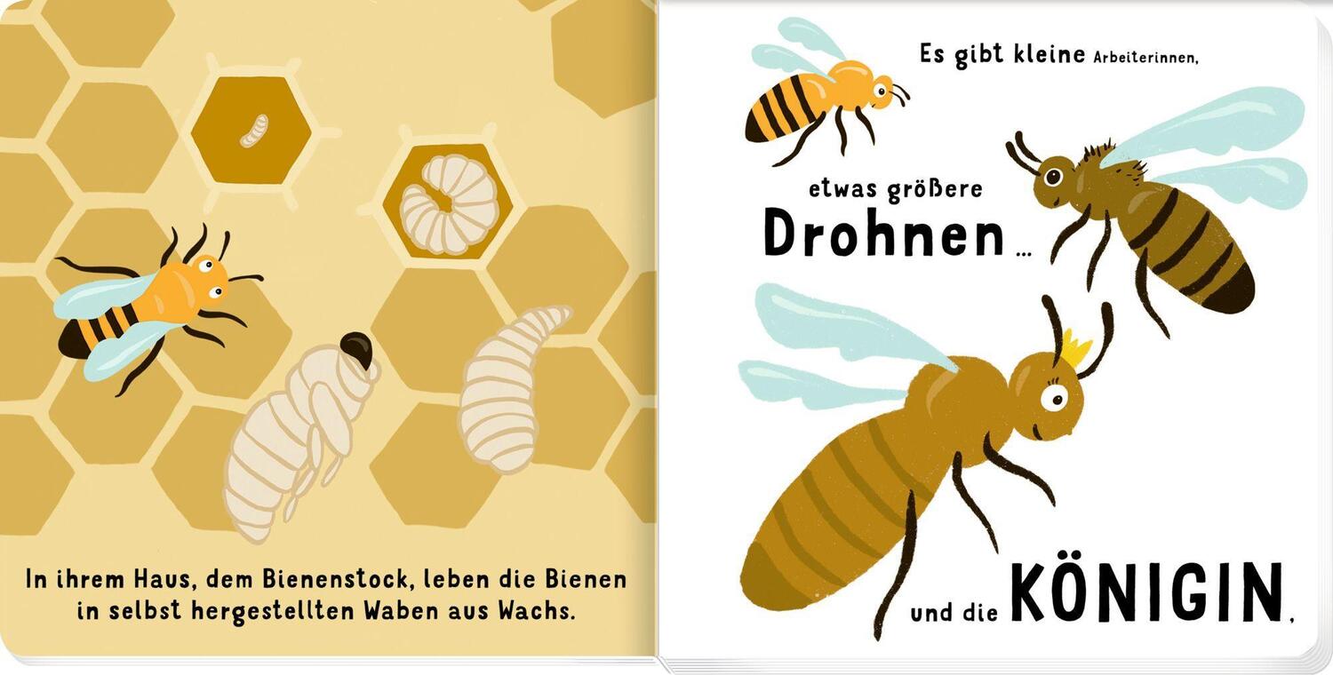 Bild: 9783649672210 | Unsere Bienenfreunde | Judith Drews | Buch | 24 S. | Deutsch | 2024