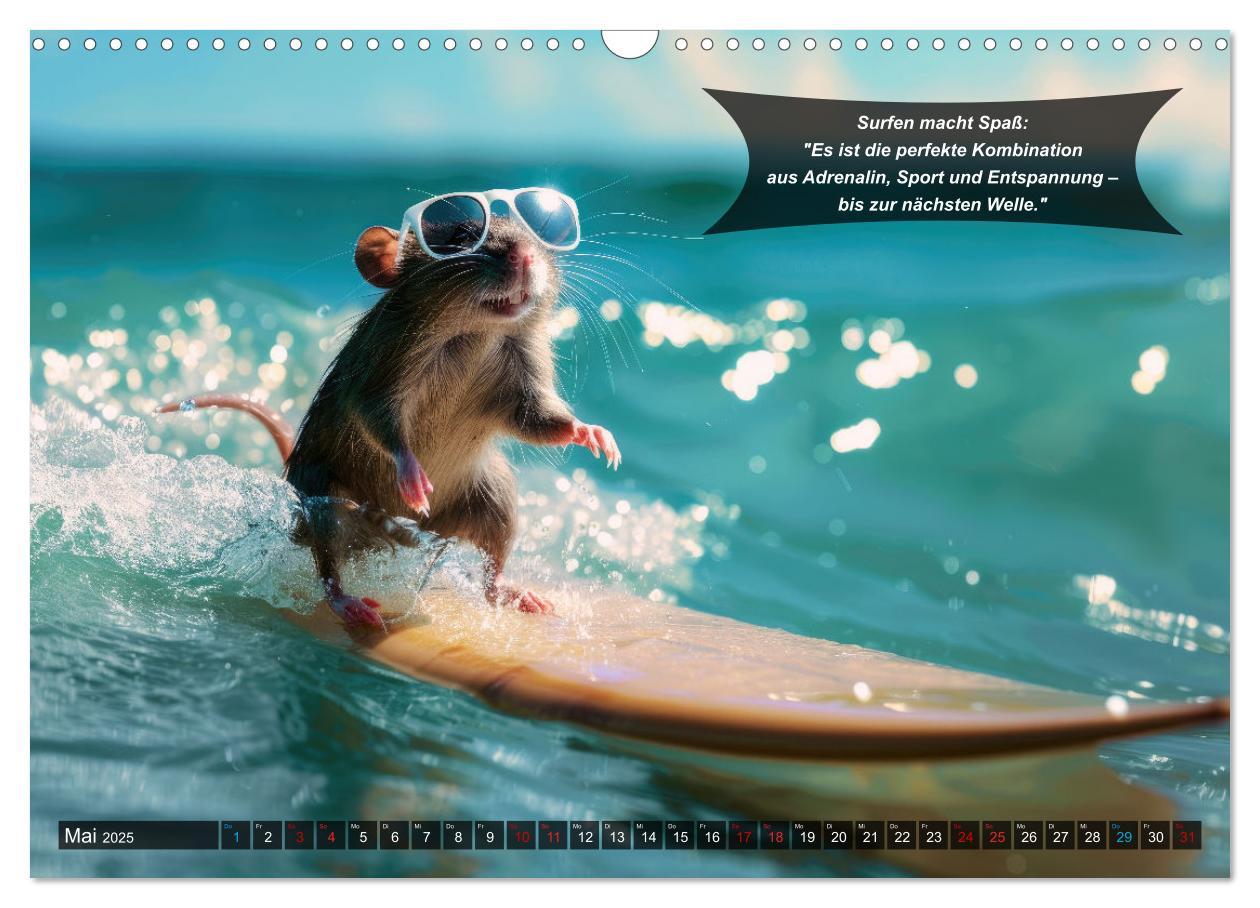 Bild: 9783457156063 | Der tierisch lustige Surfkalender (Wandkalender 2025 DIN A3 quer),...