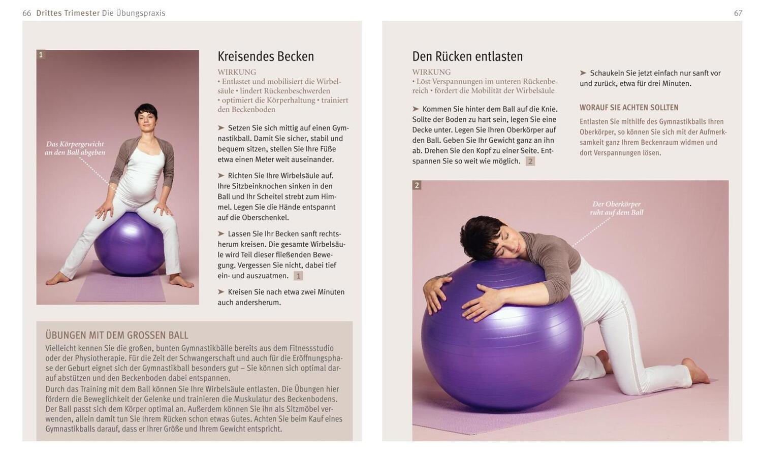 Bild: 9783833853142 | Yoga in der Schwangerschaft, m. DVD | Mit kostenlosem Online-Angebot