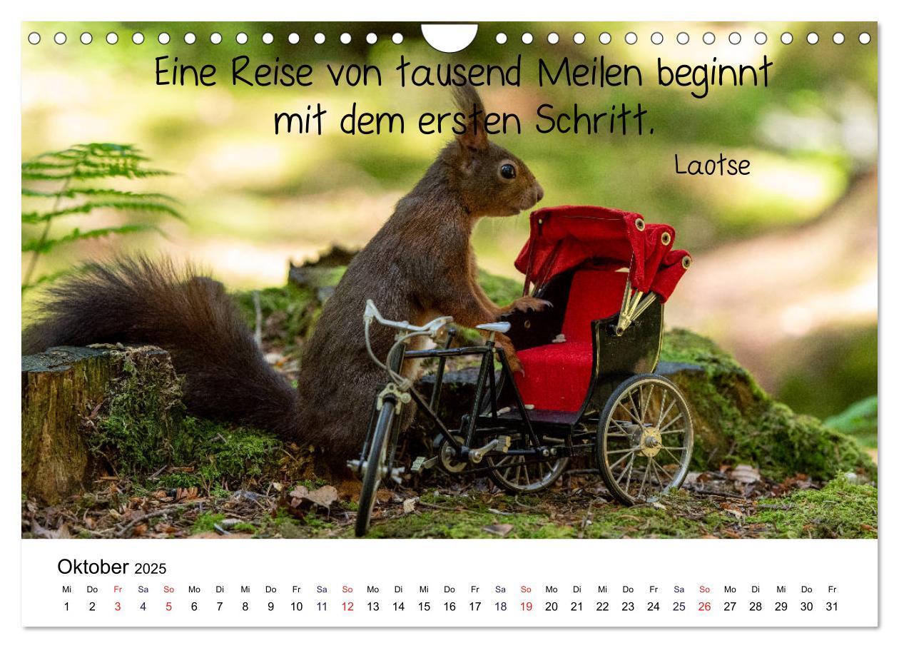 Bild: 9783435434244 | Der literarische Eichhörnchen-Kalender (Wandkalender 2025 DIN A4...