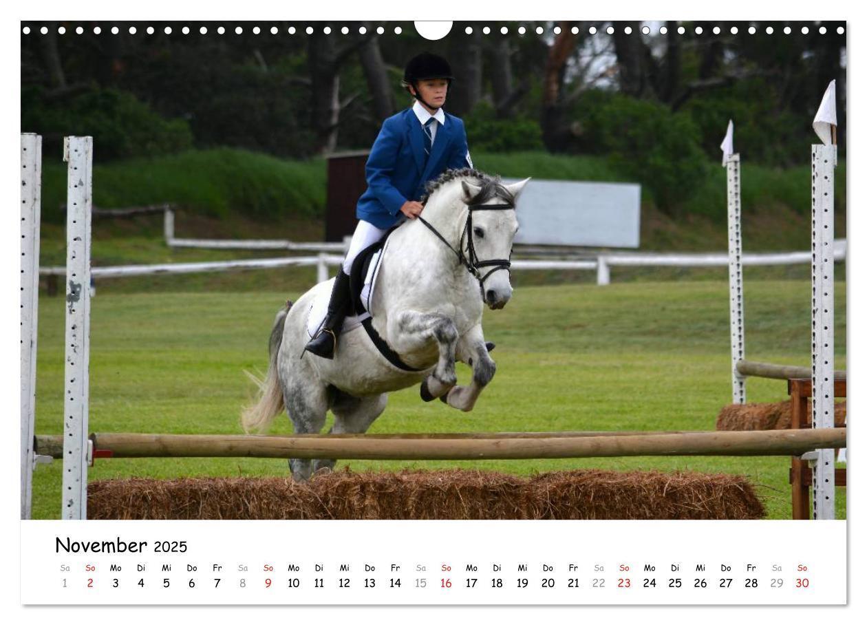 Bild: 9783435606481 | Pony Springreiten (Wandkalender 2025 DIN A3 quer), CALVENDO...