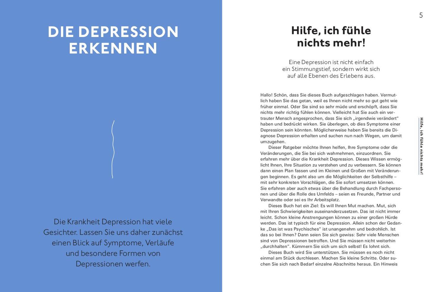 Bild: 9783747106693 | Hilfe bei Depressionen | Jana Christina Müller-Flechtenmacher (u. a.)