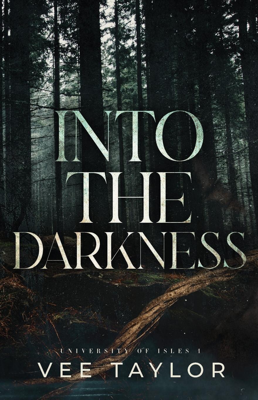 Cover: 9798218384715 | Into the Darkness | Vee Taylor | Taschenbuch | Paperback | Englisch