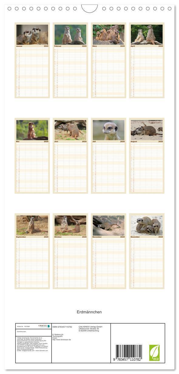 Bild: 9783457110782 | Familienplaner 2025 - Erdmännchen mit 5 Spalten (Wandkalender, 21 x...