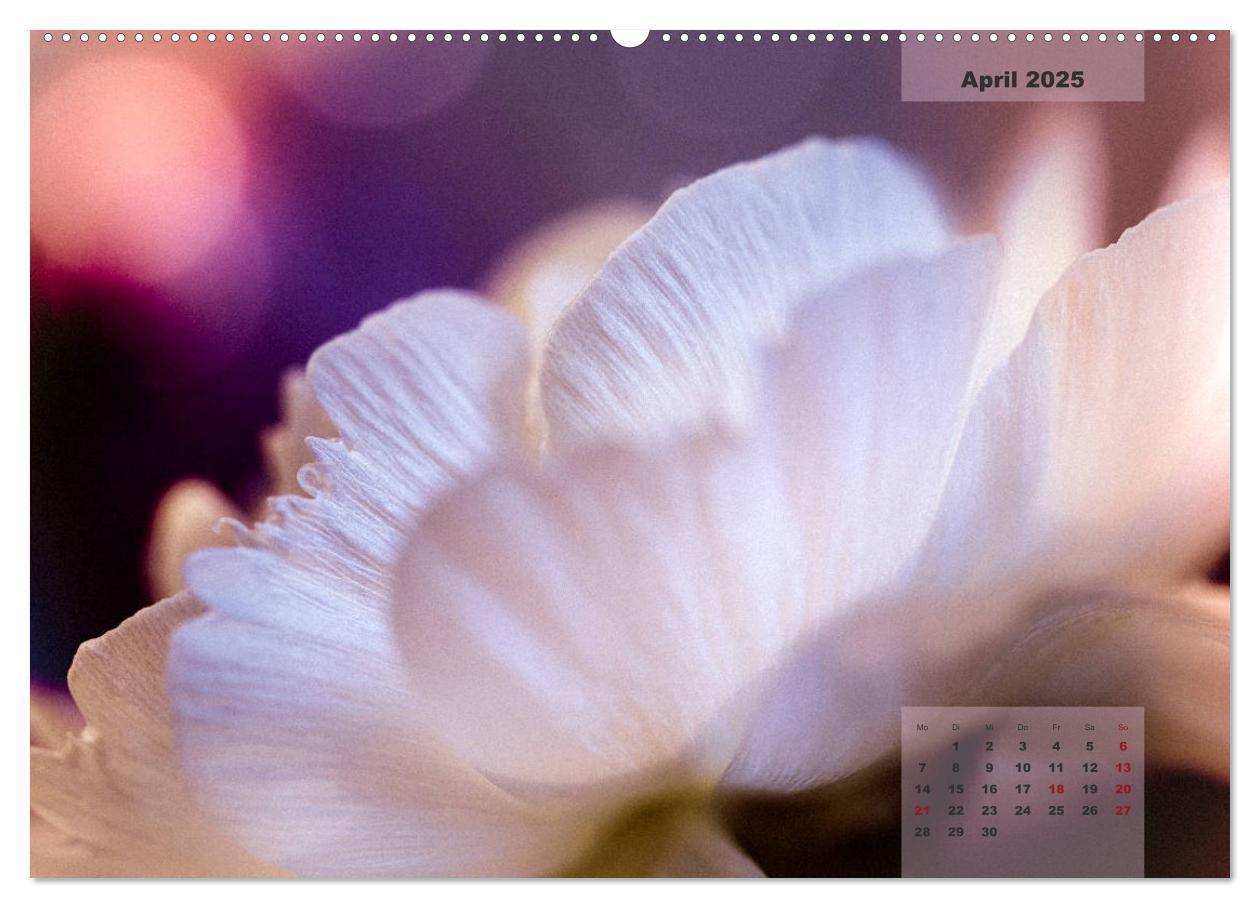 Bild: 9783435304523 | Blüten im Retro-Style (Wandkalender 2025 DIN A2 quer), CALVENDO...