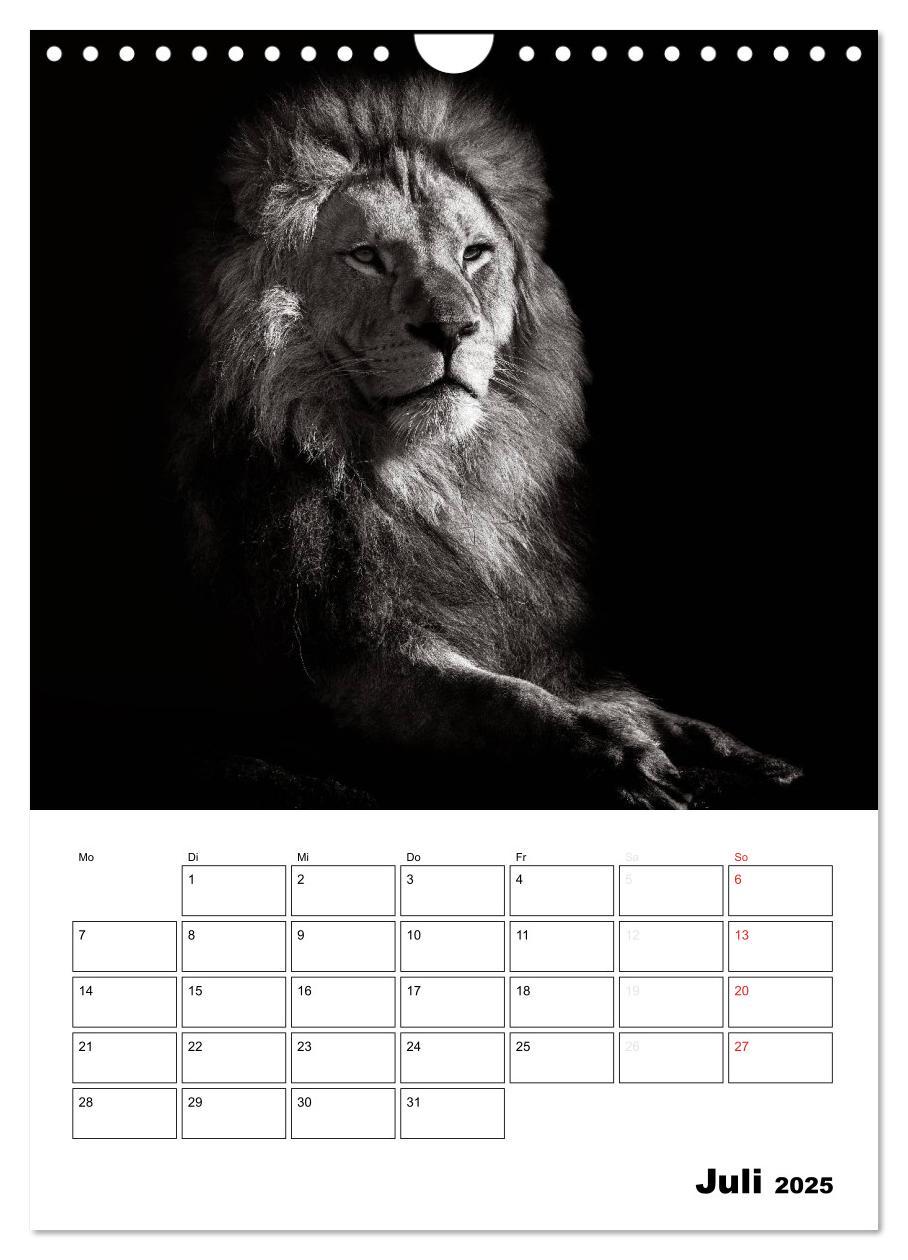 Bild: 9783457013533 | Charakterköpfe aus der Welt der Tiere (Wandkalender 2025 DIN A4...