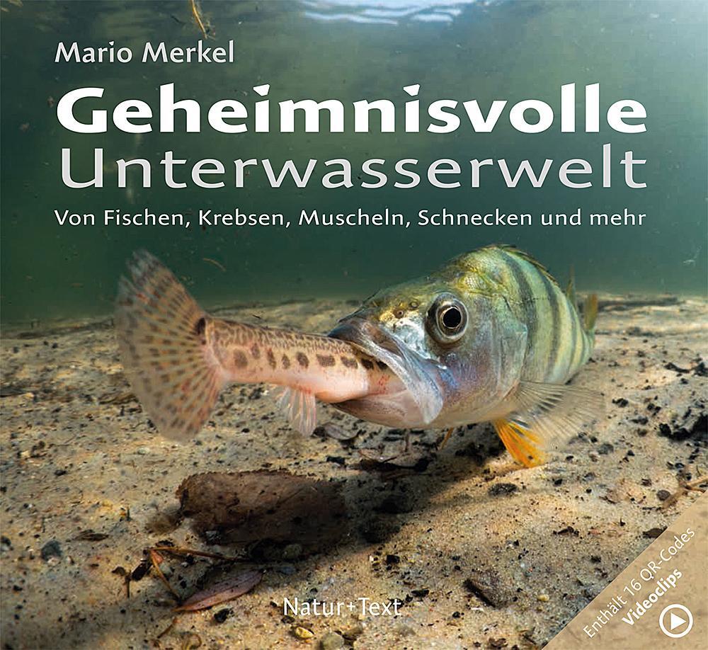 Cover: 9783942062527 | Geheimnisvolle Unterwasserwelt | Mario Merkel | Buch | Deutsch | 2021