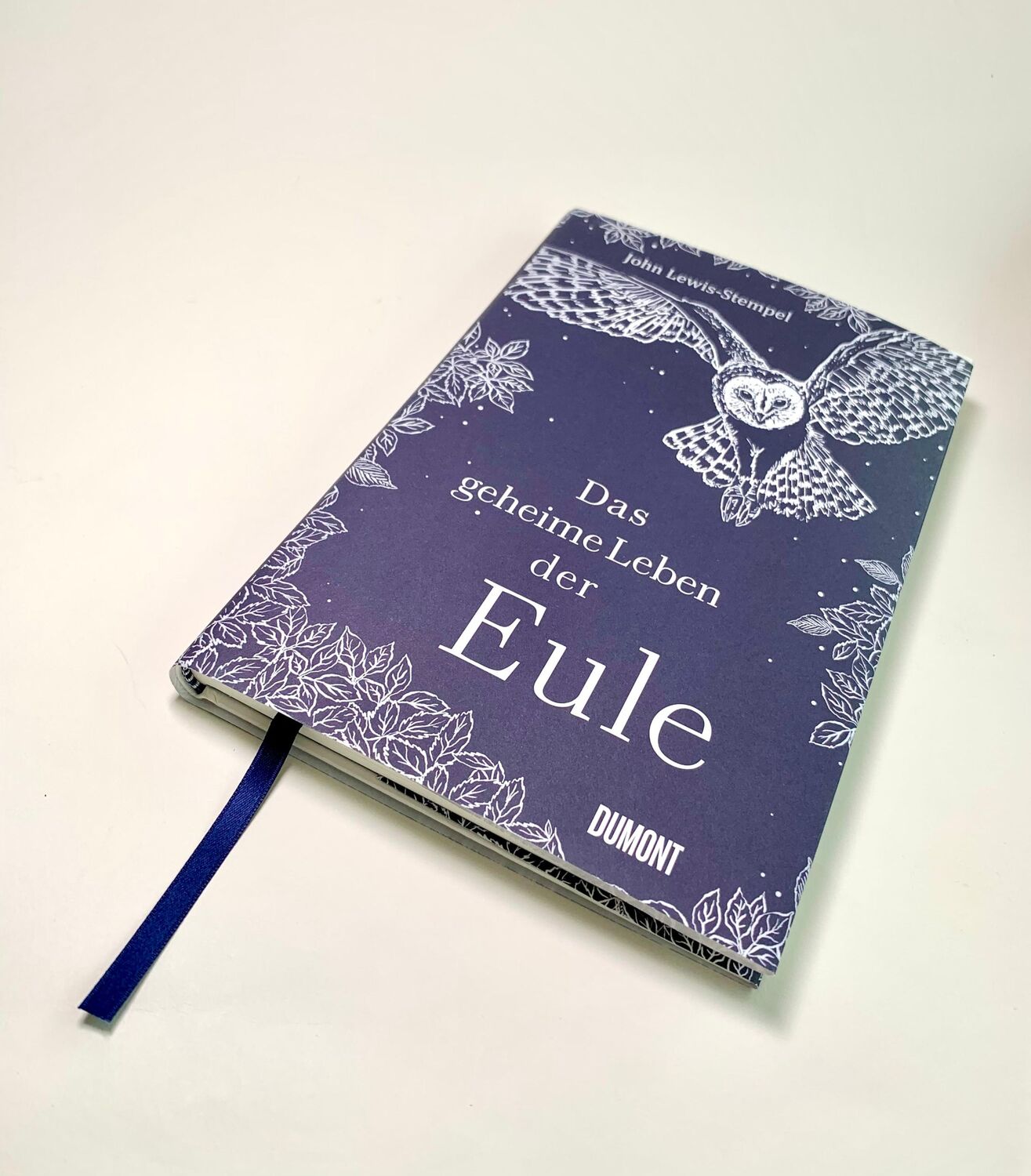 Bild: 9783832182076 | Das geheime Leben der Eule | John Lewis-Stempel | Buch | 112 S. | 2022