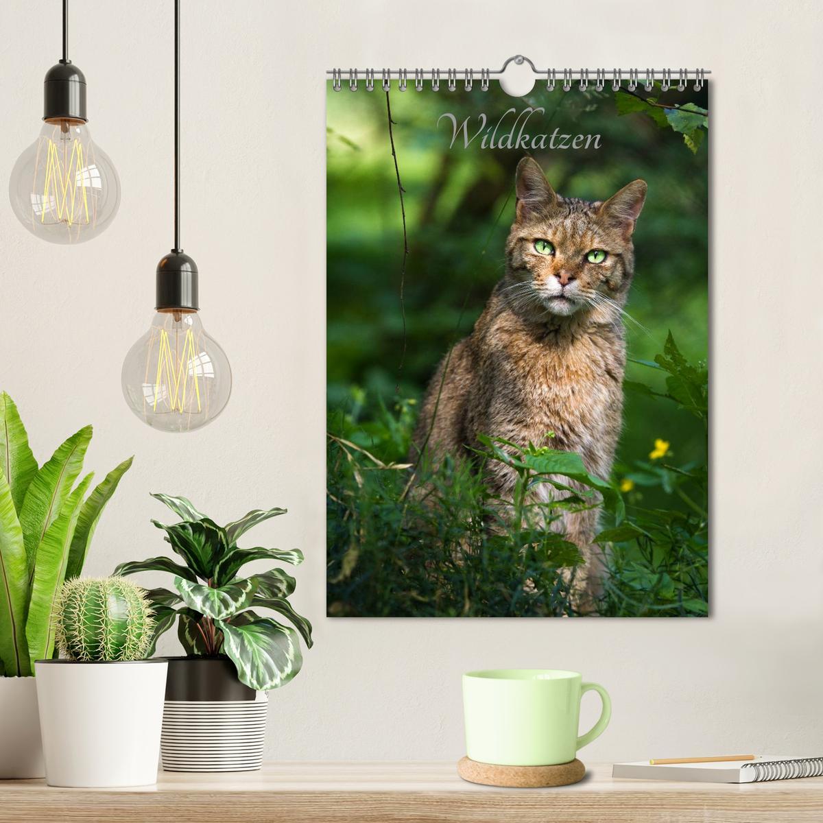 Bild: 9783457010372 | Wildkatzen - scheue Jäger (Wandkalender 2025 DIN A4 hoch), CALVENDO...