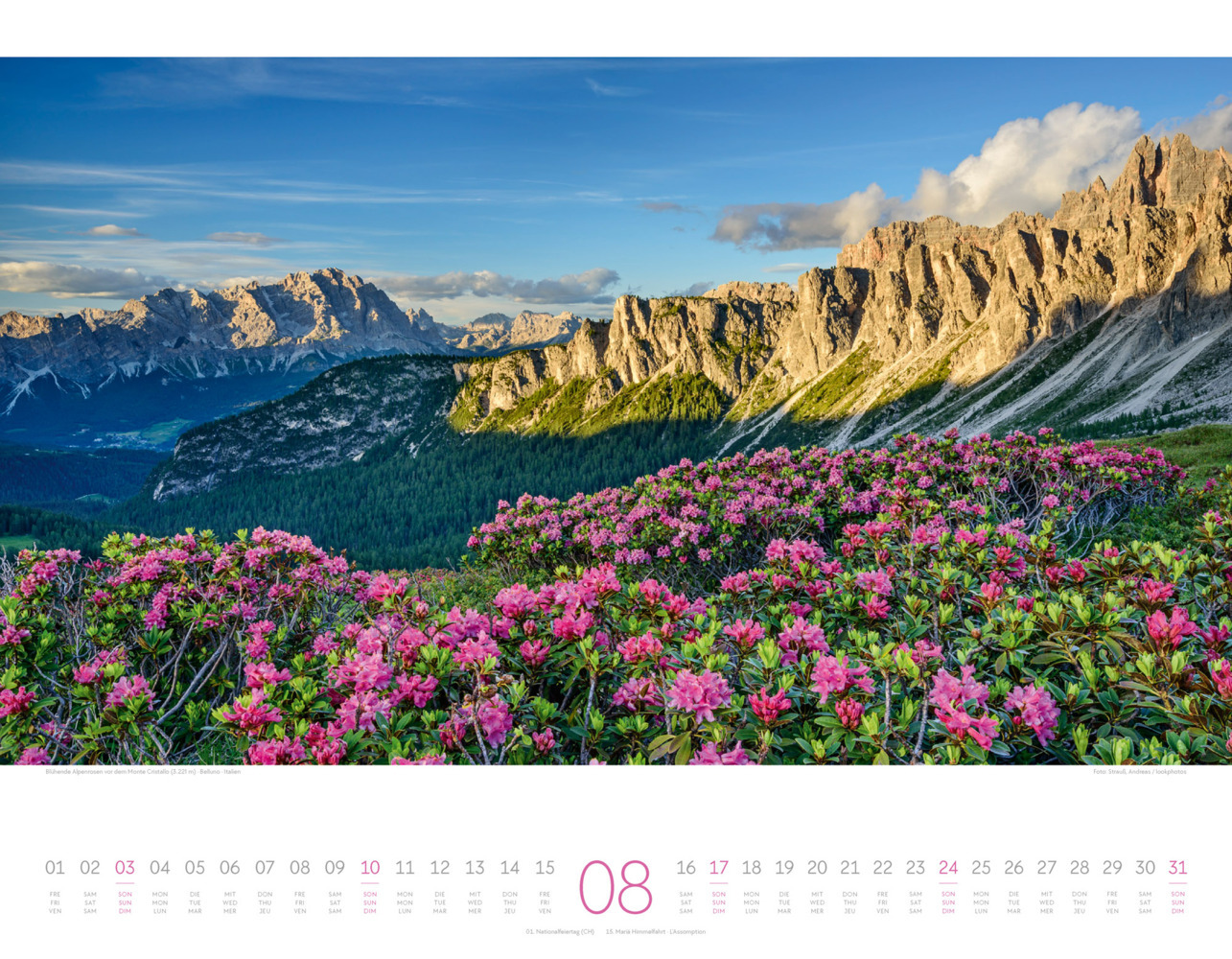 Bild: 9783838425849 | Naturparadies Alpen Kalender 2025 | Ackermann Kunstverlag | Kalender