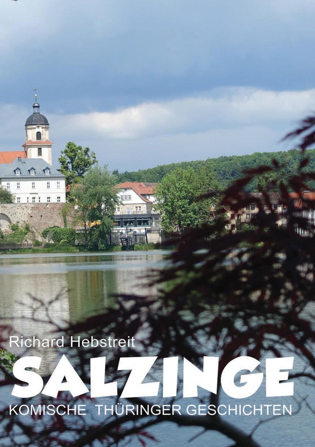 Cover: 9783744887939 | Salzinge | Komische Thüringer Geschichten | Richard Hebstreit | Buch