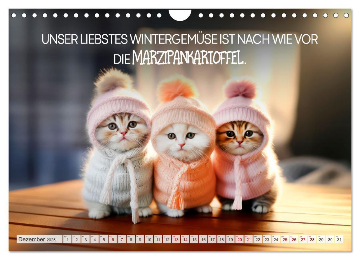 Bild: 9783383771910 | KATZEN-IRONIE Lach mal wieder (Wandkalender 2025 DIN A4 quer),...