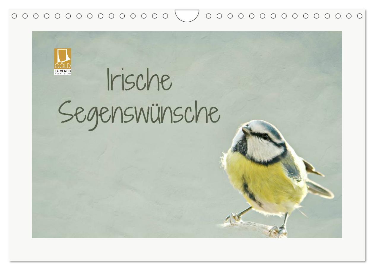 Cover: 9783435724468 | Irische Segenswünsche (Wandkalender 2025 DIN A4 quer), CALVENDO...