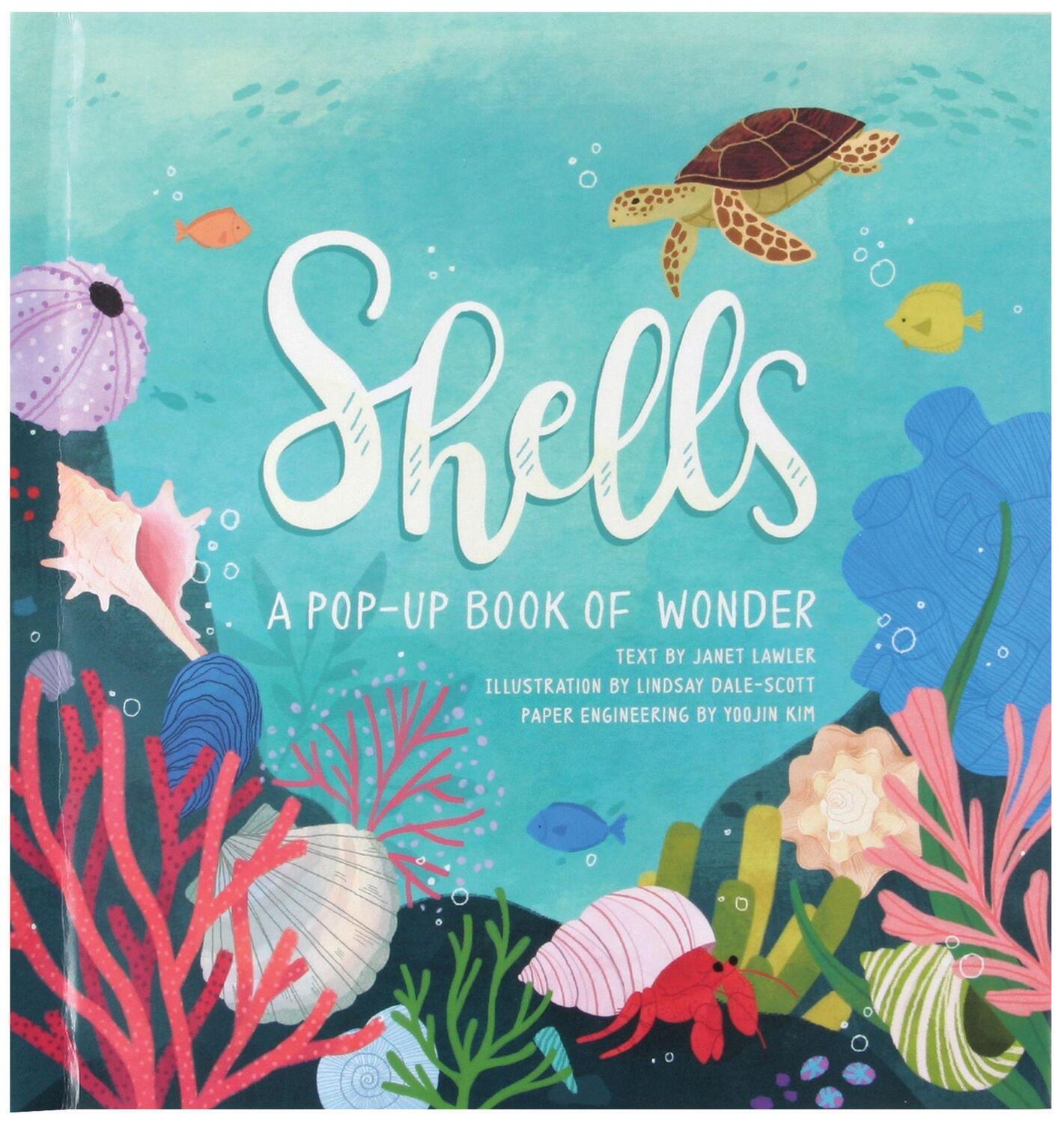 Cover: 9781623485269 | Shells | A Pop-Up Book of Wonder | Janet Lawler | Buch | Englisch