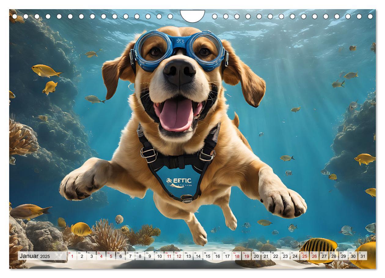 Bild: 9783383845116 | Hunde abgetaucht (Wandkalender 2025 DIN A4 quer), CALVENDO...