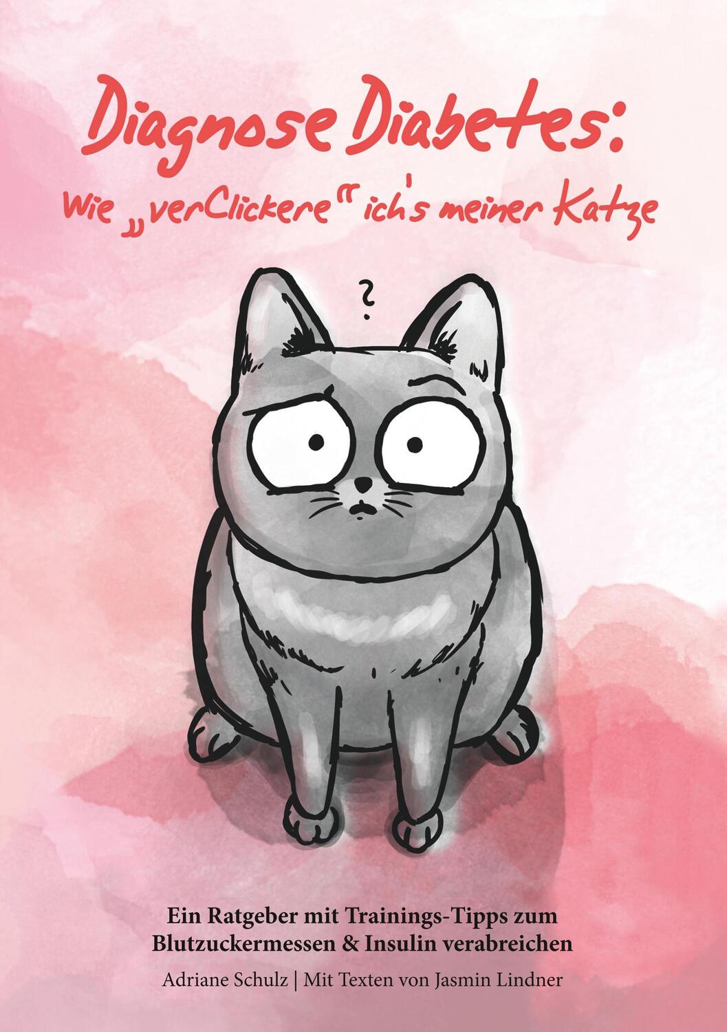 Cover: 9783749431489 | Diagnose Diabetes: Wie "verClickere" ich's meiner Katze? | Taschenbuch