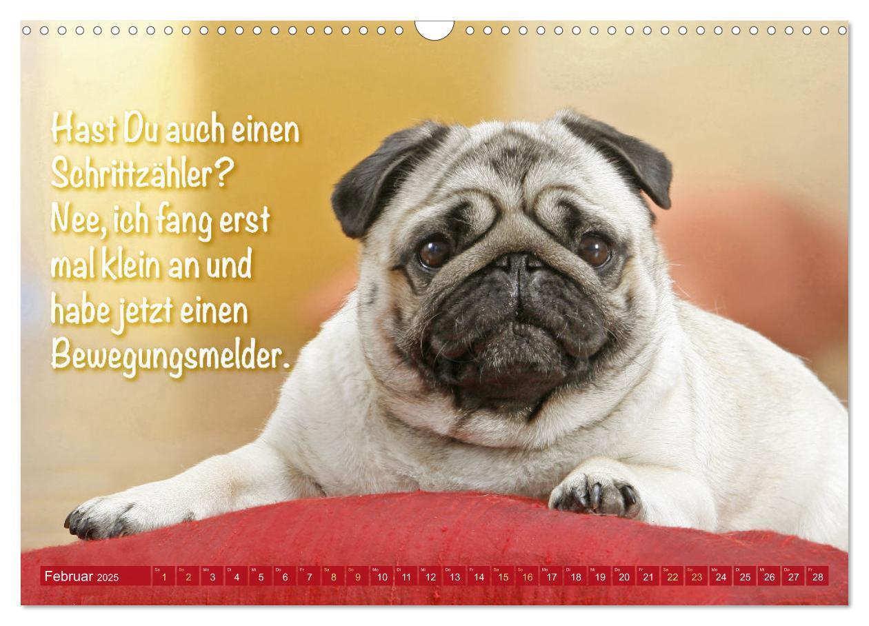 Bild: 9783457167168 | Lächeln mit Mops (Wandkalender 2025 DIN A3 quer), CALVENDO...