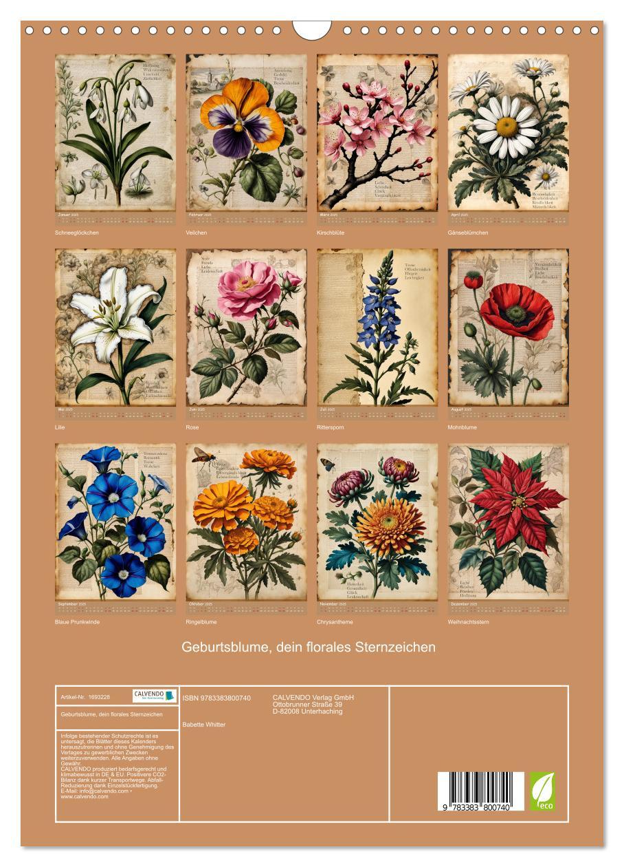 Bild: 9783383800740 | Geburtsblume, dein florales Sternzeichen (Wandkalender 2025 DIN A3...