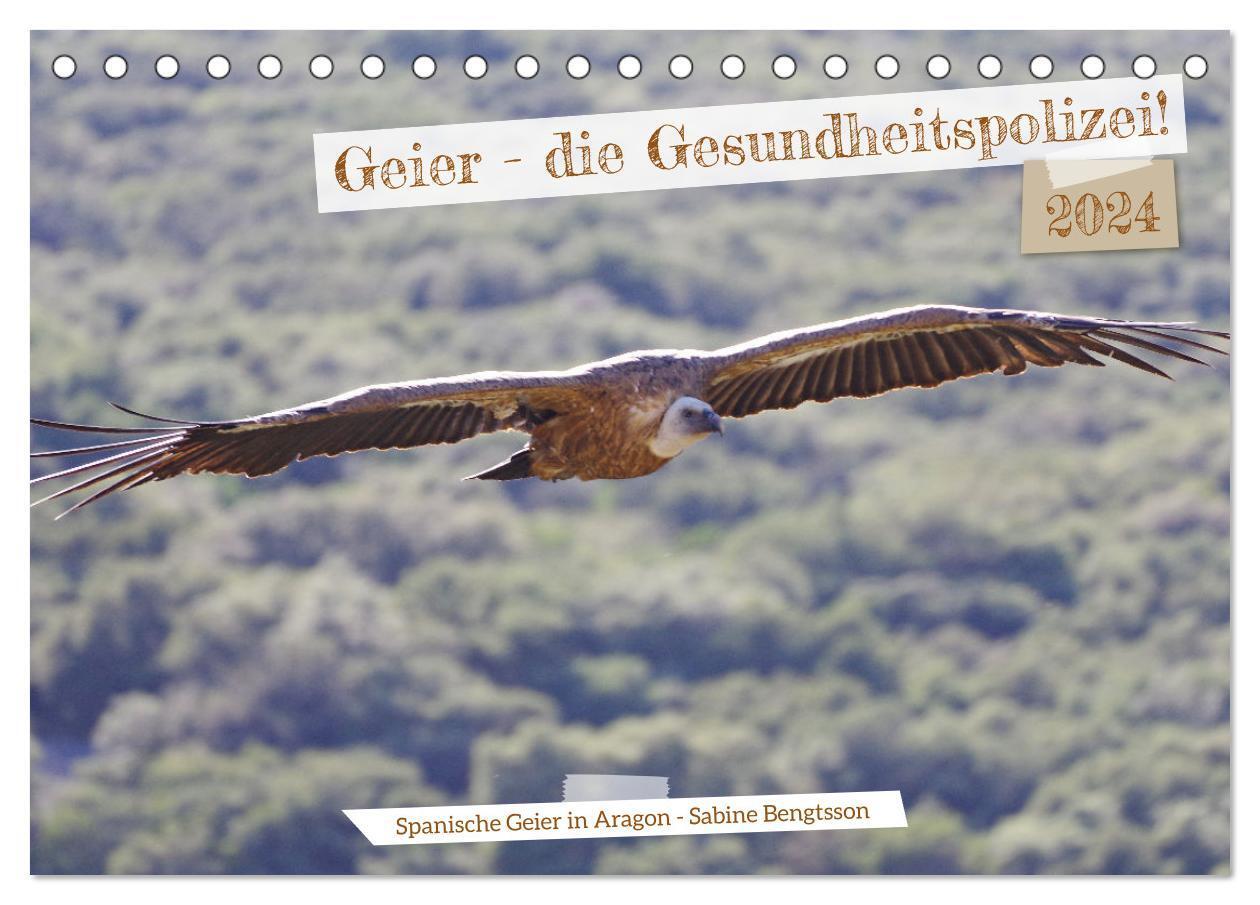 Cover: 9783383720772 | Geier - die Gesundheitspolizei! (Tischkalender 2024 DIN A5 quer),...