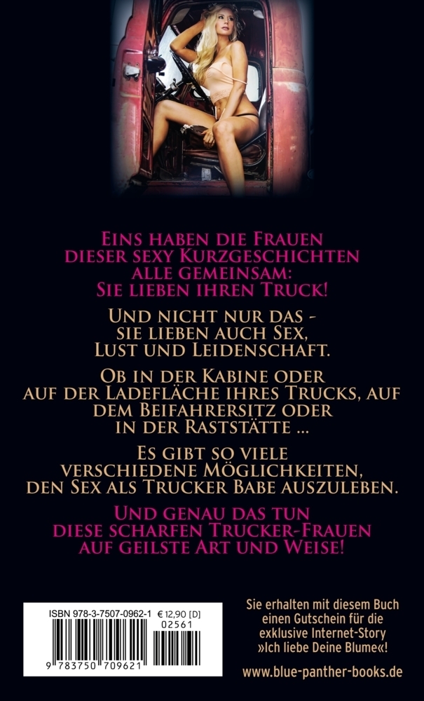 Bild: 9783750709621 | Trucker Babes Erotische Geschichten | Simona Wiles | Taschenbuch