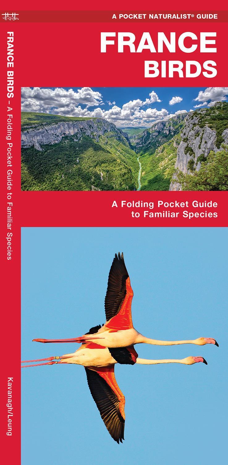 Cover: 9781620053447 | France Birds | A Folding Pocket Guide to Familiar Species | Broschüre