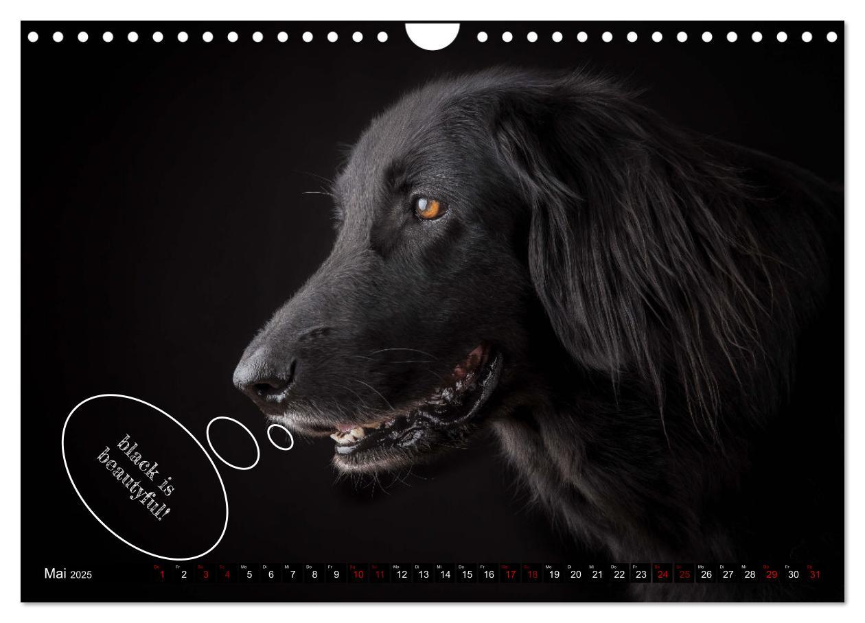 Bild: 9783383978517 | Hundeportraits, Hunde sind unsere besten Freunde by VogtArt...