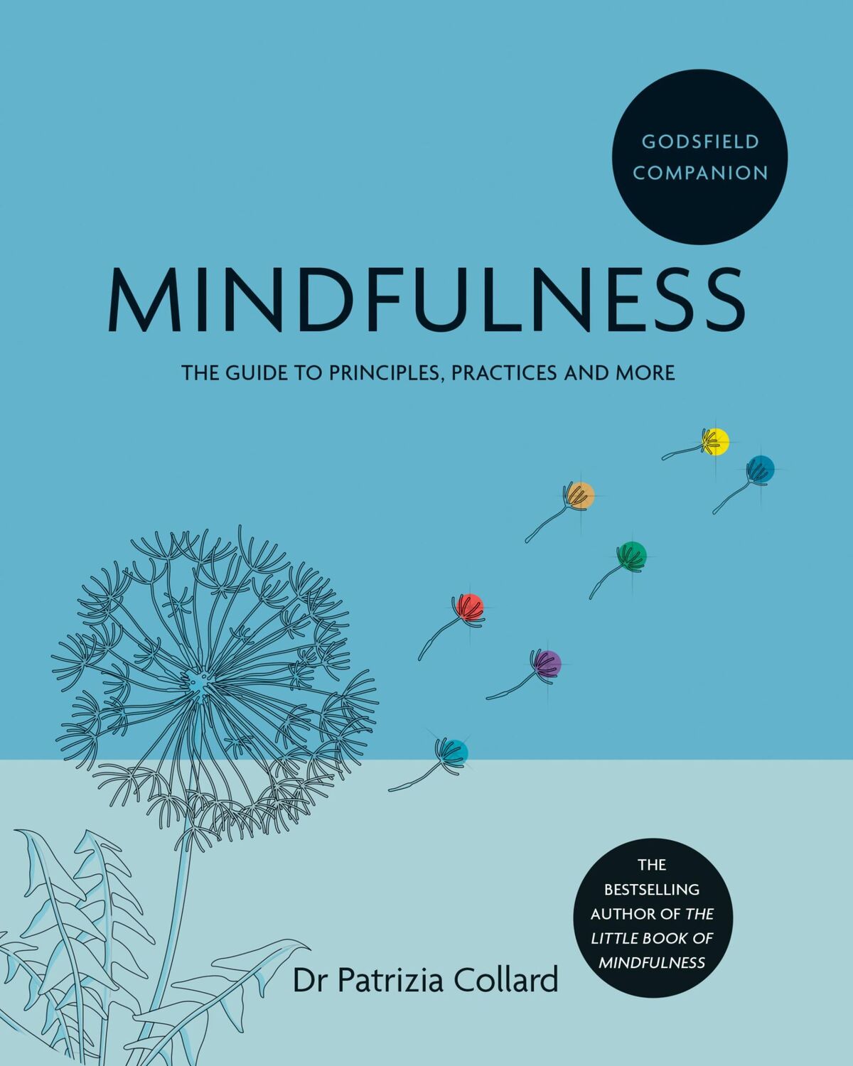 Cover: 9781841814988 | Godsfield Companion: Mindfulness | Patrizia Collard | Taschenbuch