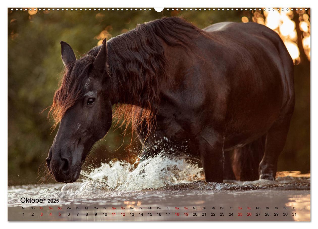 Bild: 9783435288878 | Pferdezauber 2025 (Wandkalender 2025 DIN A2 quer), CALVENDO...